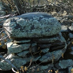 Cartacumbas / cardcombs