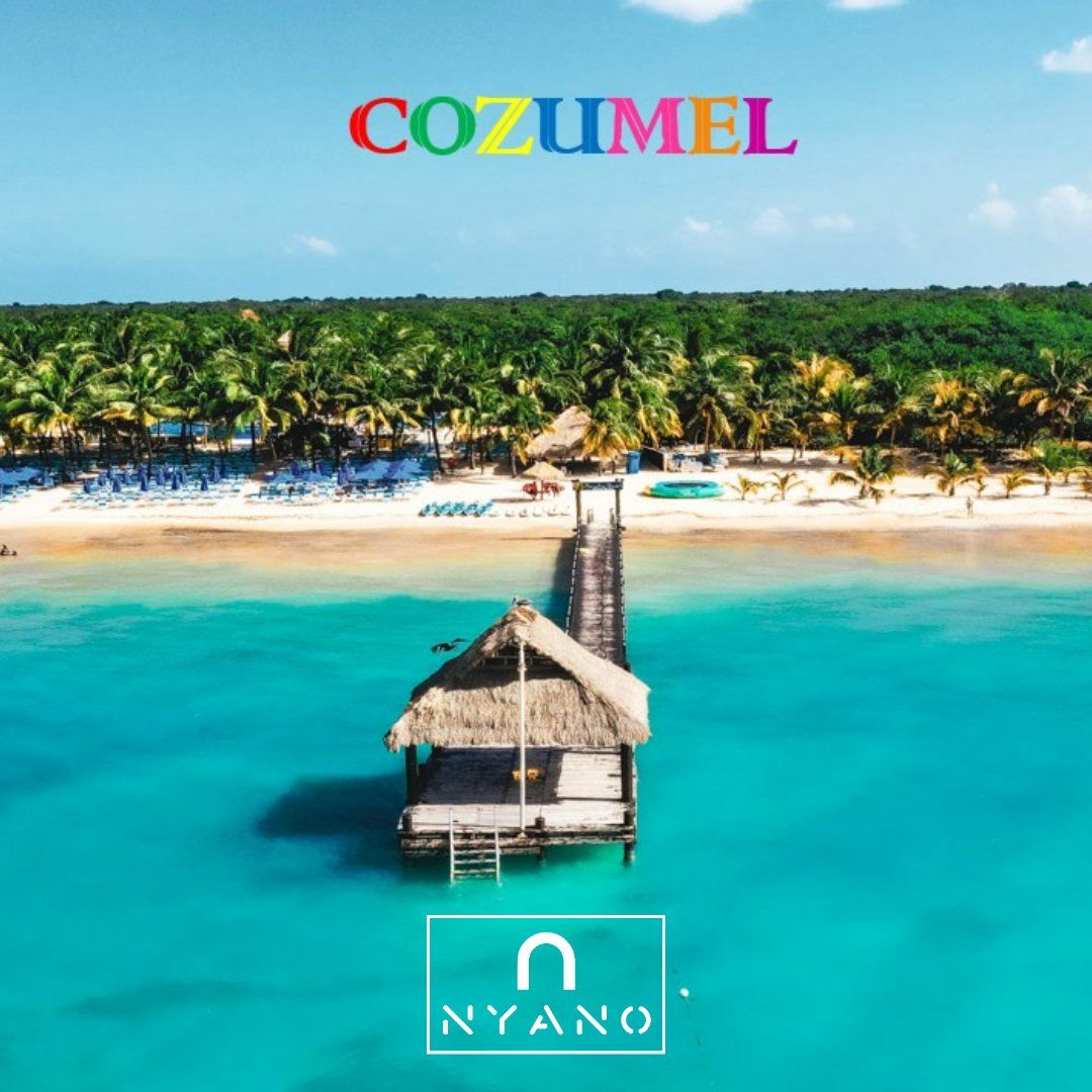 Track cover