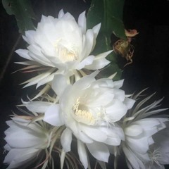 힘들어