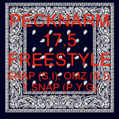 17.5 Freestyle - Snap (S.I), Omz (S.I), T.Snap (P.Y.G)