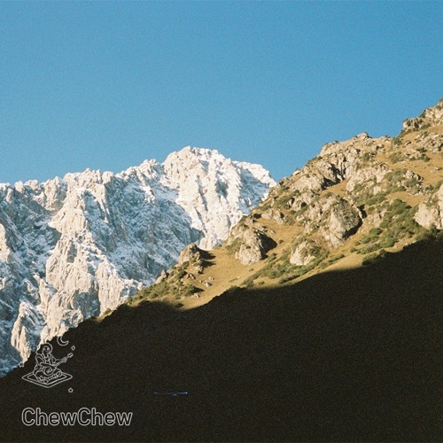 Apricot 54: ChewChew