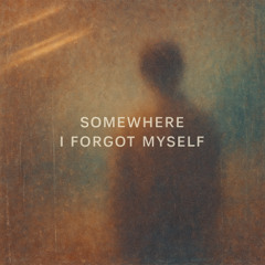Somewhere I Forgot Myself