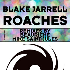 Black Hole Recordings - 2