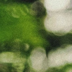 in tha house spectrum.. //korbin