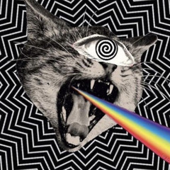 nikko - PUSHINN (FUNTERZ REMIX)