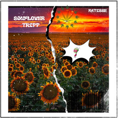 Sunflower Tripp