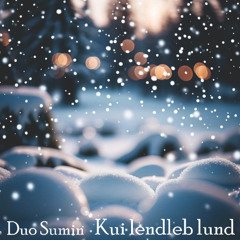 Kui lendleb lund