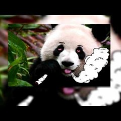 SZAMZ - PANDA REMIX