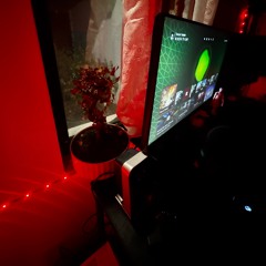 Mini Bored room