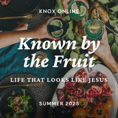 June 22, 2025 | John 15:1-11; Galatians 5:22-26 | Known By Fruit: Joy