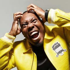 The Dizzee Flip