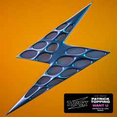 Want U (Murphy's Law Remix)