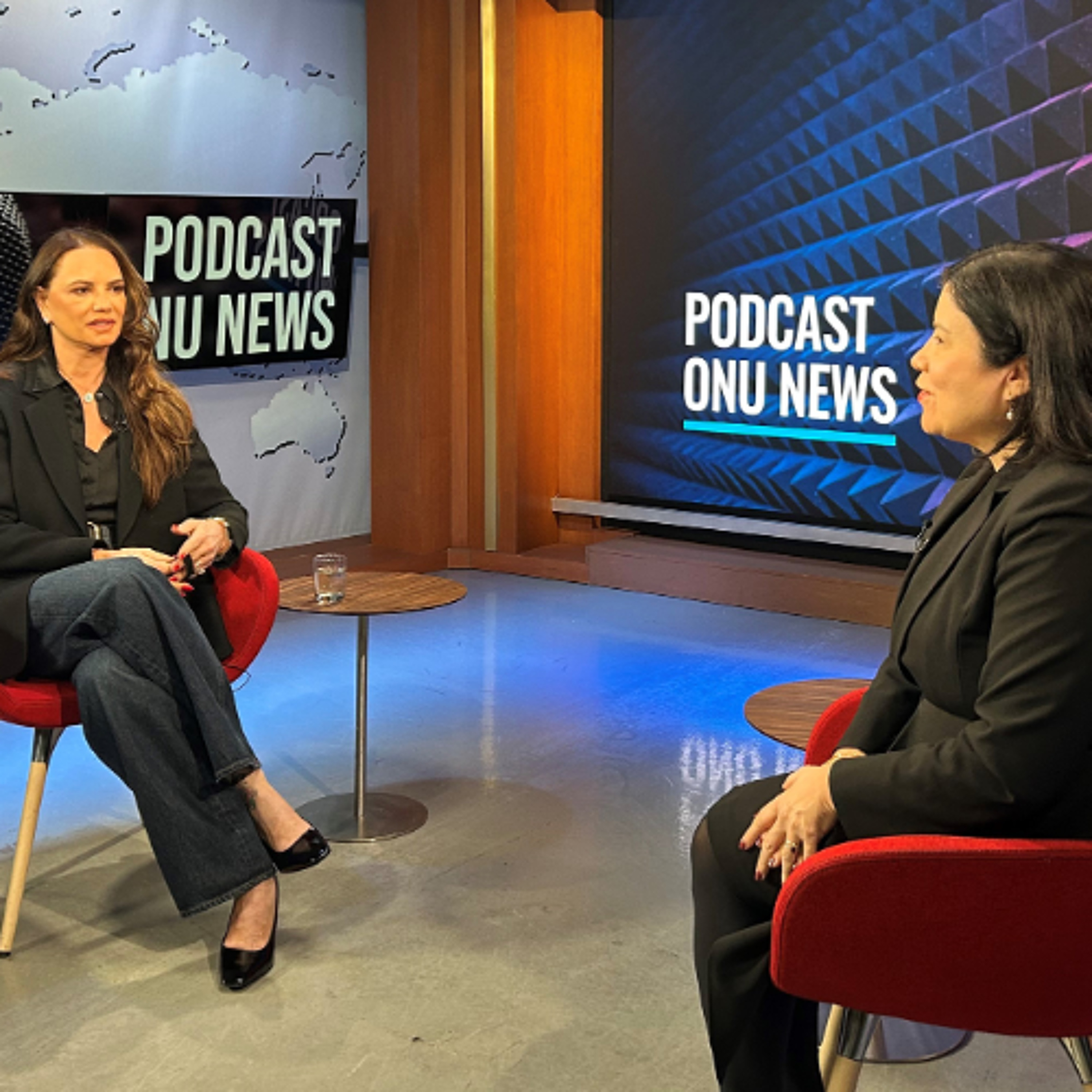 Entrevista com a ativista Luiza Brunet no Podcast ONU News episode artwork