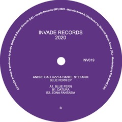 Andre Galluzzi & Daniel Stefanik - Blue Fern EP - INV019