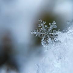 雪の降る街