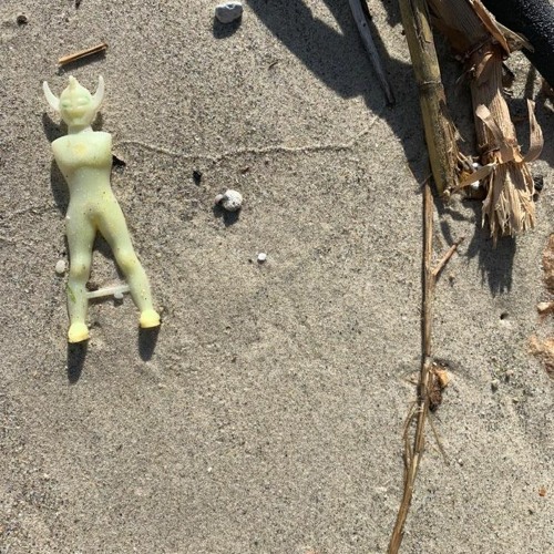 Stream pocket full of seashells by yuvalgo Listen online for free on