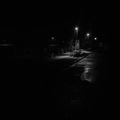 WITHIN THE DIVINE ☆