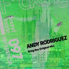 Andy Rodriguez . BRING BOY (Original Mix)