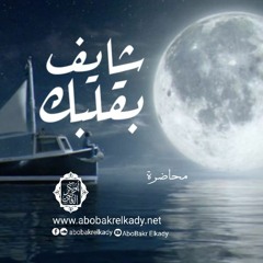 شايف بقلبك♥️|محاضرة|د. أبوبكر القاضي