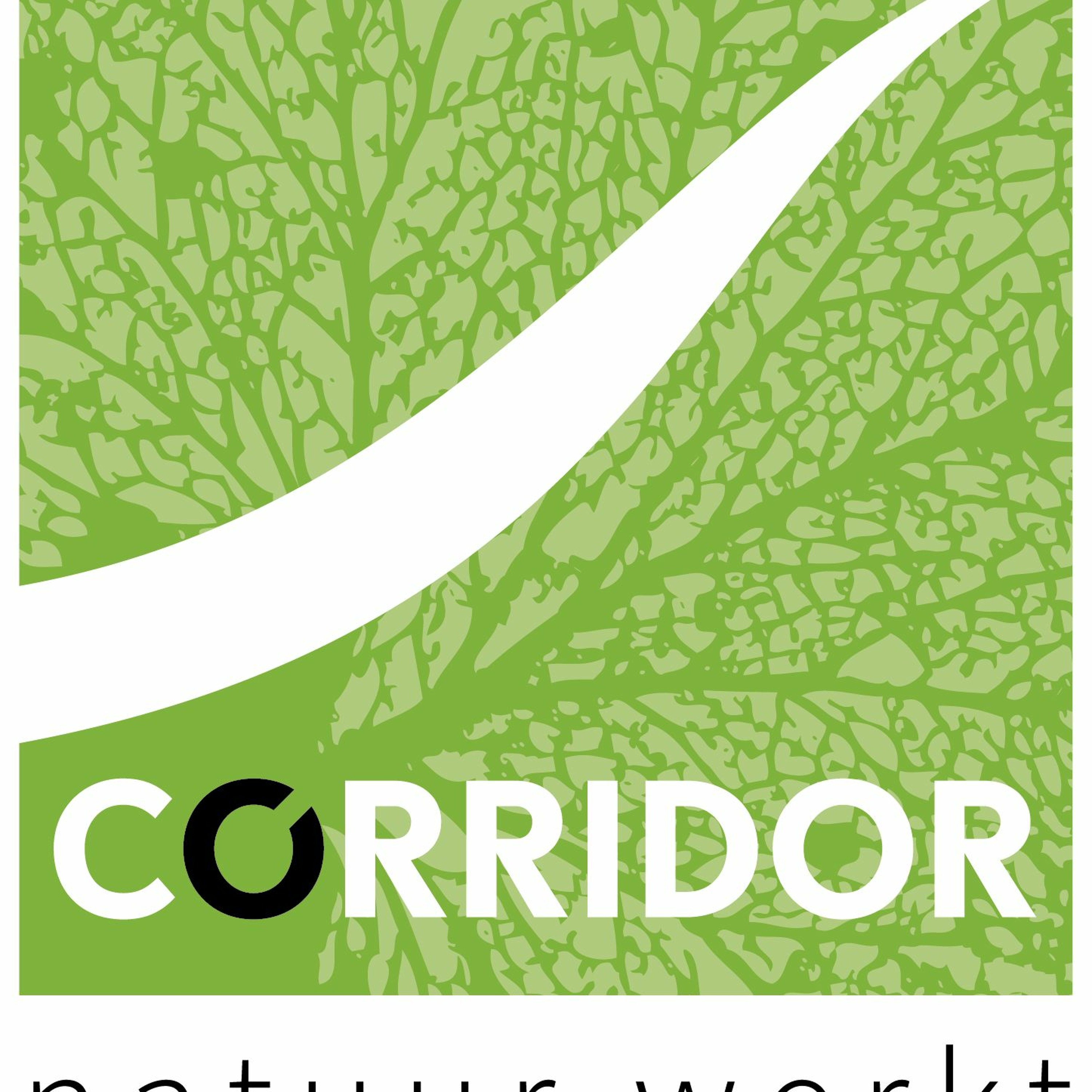 Corridor 3: met Peter Claus en Boswachter Bram over Grenspark Groot Saeftinghe