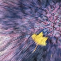 SnøwGløbe - BbySøsa (p. Waale)