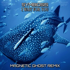 BWP064 : Symbiosis - I Wait For You (Magnetic Ghost Remix)
