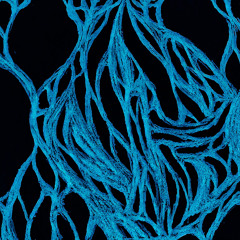 3rd Netherworld From Helios