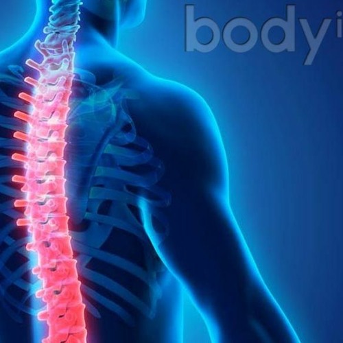 Ask Kiefer Anything – Spine Health, Meal Timing, and Macro Correction
