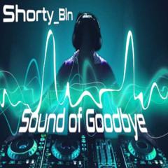 Sound_of_Goodbye