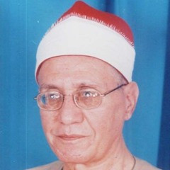 الشيخ أحمد شبيب | النمل | وتفقد الطير