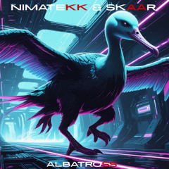NIMATEKK & SkaaR - Albatross (Original Mix)