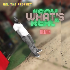 “SAY WHAT’s REAL” remix - MEL THE PROPHET