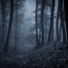 #783: Fear is My Attractor (REBROADCAST)