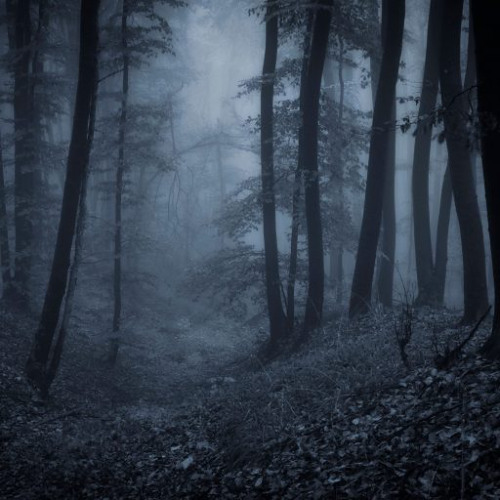 #783: Fear is My Attractor (REBROADCAST)