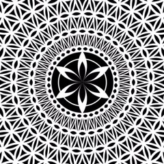 🫨🫨🫨