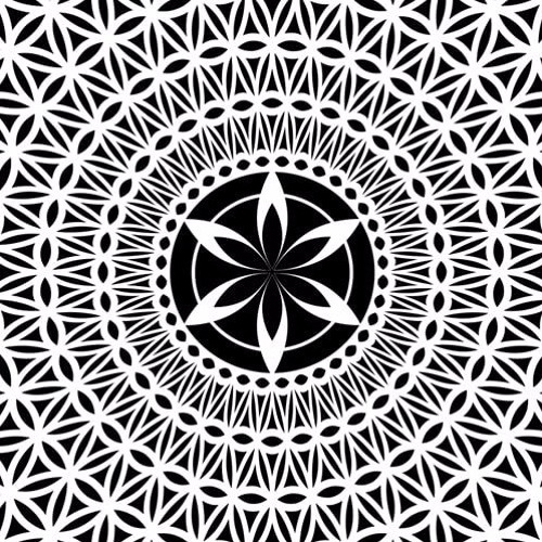 🫨🫨🫨