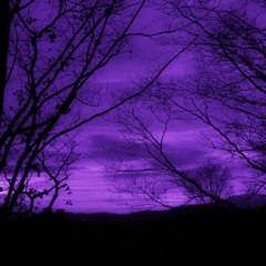 PURPLE ON PURPLE P. mars