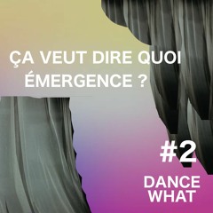 Épisode 2 : ça veut dire quoi, l'émergence ?