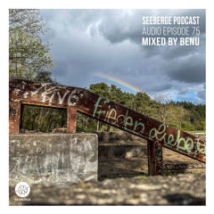 Seeberge Podcast - AE075