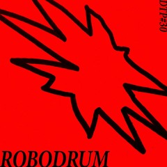 DTP#30 - Robodrum