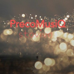 PrecoMusiQ-Staviva