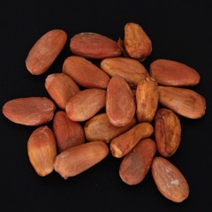 Semillas: Magaby y su mata de cacao