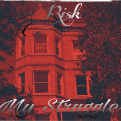 RISK - MY STRUGGLE