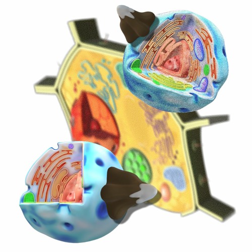 i.u - hogobogobogo ☤☋☤ Gibby - LYL Radio #002