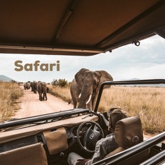 Safari - Abigael Muthoka