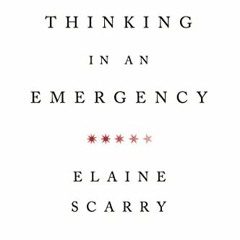 View EBOOK EPUB KINDLE PDF Thinking in an Emergency (Norton Global Ethics Series) by