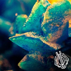 Korebushi - Ether Session