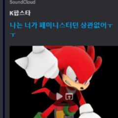 나는 너가 페미니스터던 상관없어ㅜㅜ - k팝스타