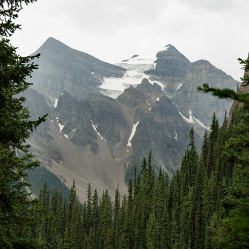 Mountains And Meadows (October '20)