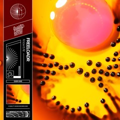 QGR-040 | freeloadr - Know It All
